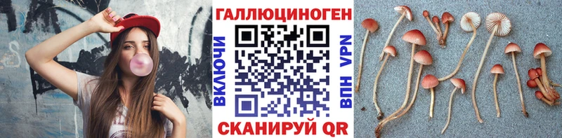 Псилоцибиновые грибы Cubensis  где найти   блэк спрут онион  Калининград 